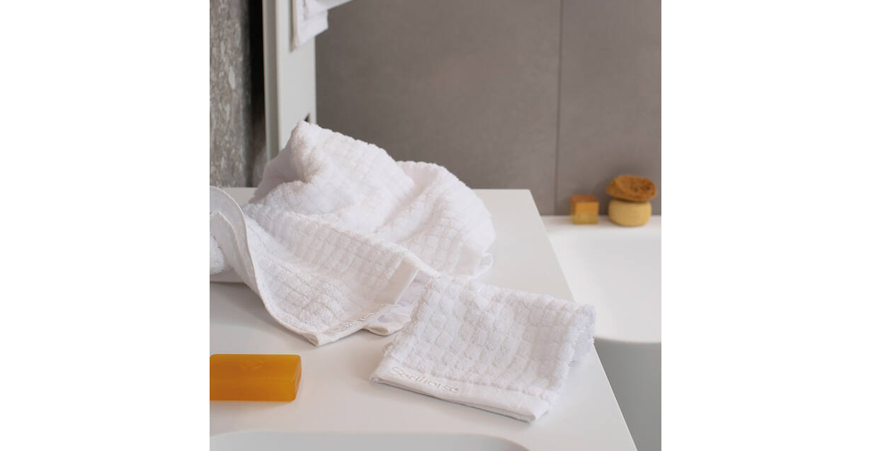 Seahorse Washand Cube